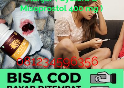 Jual Obat Aborsi Cytotec & Cyclora di Temanggung Bisa COD