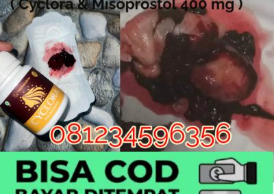 Cara Menggugurkan Kandungan Dengan Cepat Selesai Dalam 24 Jam Secara Alami Buah Buahan