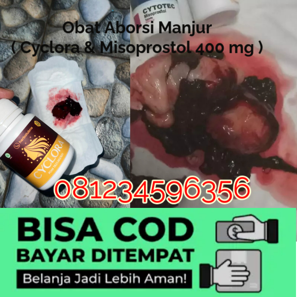 Cara Menggugurkan Kandungan Dengan Cepat Selesai Dalam 24 Jam Secara Alami Buah Buahan