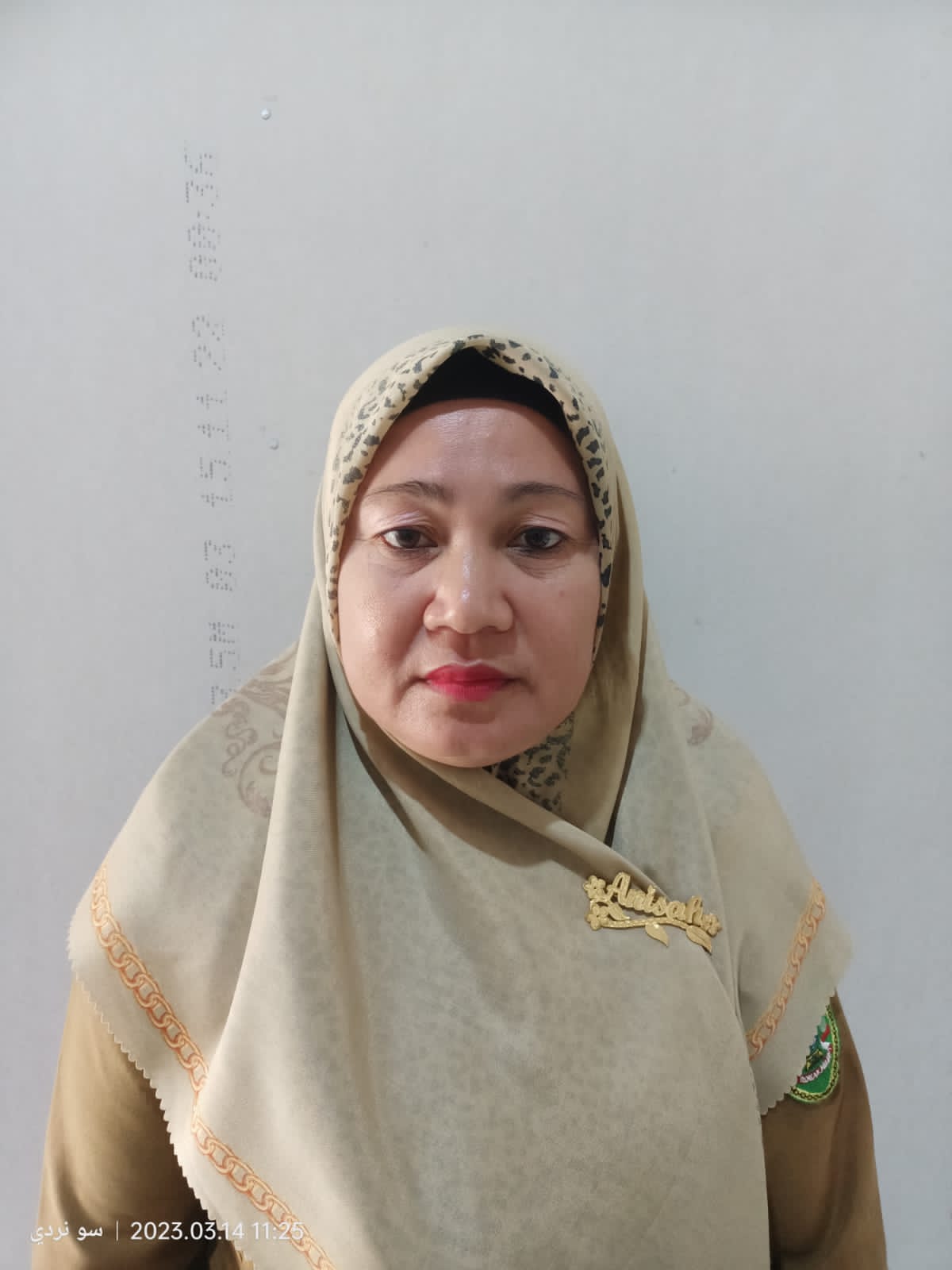 ANISA